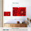 Dahlia en fleurs-2022249739