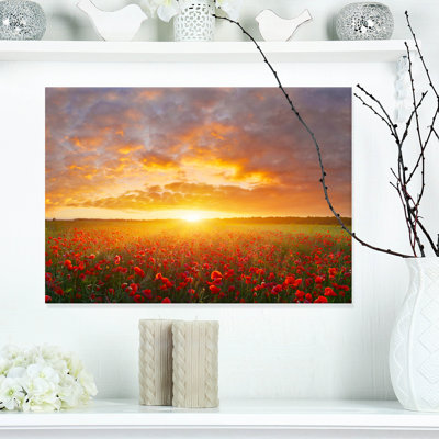 " Poppy Field Under Bright Sunset "