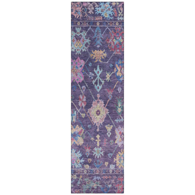 Machine Washable Indoor/Outdoor Kaczor ACN2234 Global Rug