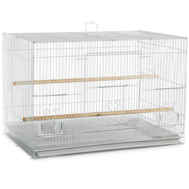 Tucker Murphy Pet™ Ciani 24'' Plastic Dome Top Hanging Bird Cage with Perch  & Reviews