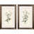 Botanical Whites Framed Art