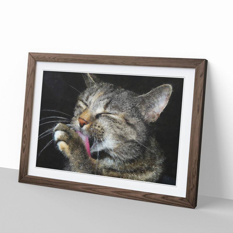 Portrait of a Cat Vol.11 - Picture Frame Painting, Walnut Framed, 36cm H x 48cm W x 2cm D