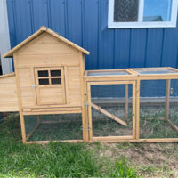 Tucker Murphy Pet™ Fortson 12.2 Square Feet Chicken Coop with