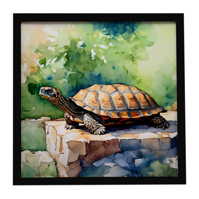 Turtles Tortoises Framed Metal Print