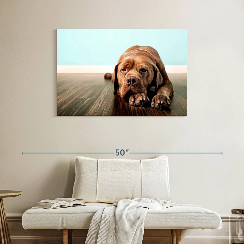 Dogue français Brampt s'ennuie, H 26 po x l 39 po