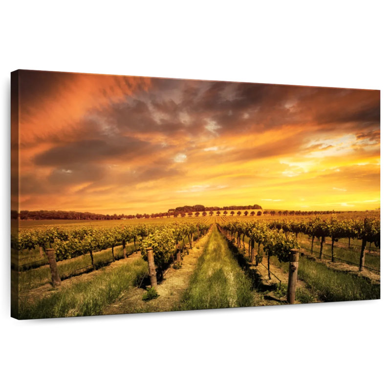 Alvord Barossa Valley Vineyard, H 20 po x l 30 po