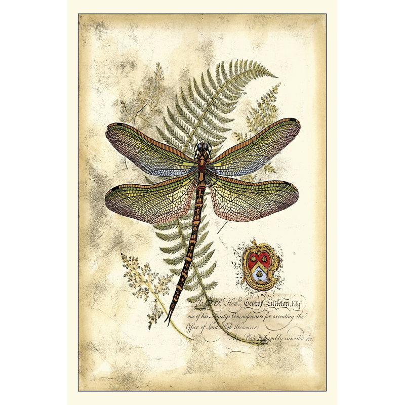 Regal Dragonfly I by Sue Jachimiec - Wrapped Canvas Print, 46cm H x 30cm W x 3.8cm D