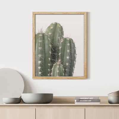 «Cactus Succulent Southwest Texas Mexico Saguaro» sur papier