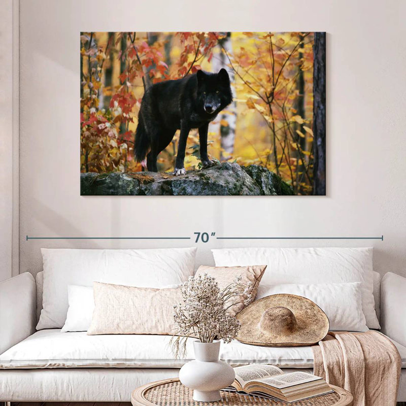 Loup noir d'automne, H 32 po x l 48 po