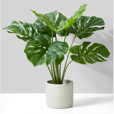 Faux Foliage Plant in Pot