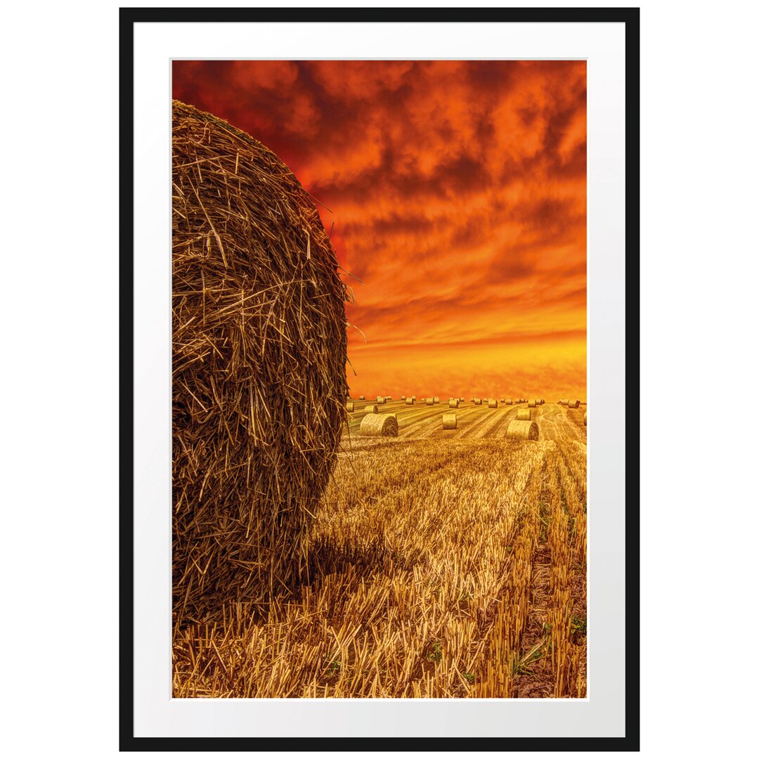 Gerahmtes Poster Feld im Sonnenuntergang