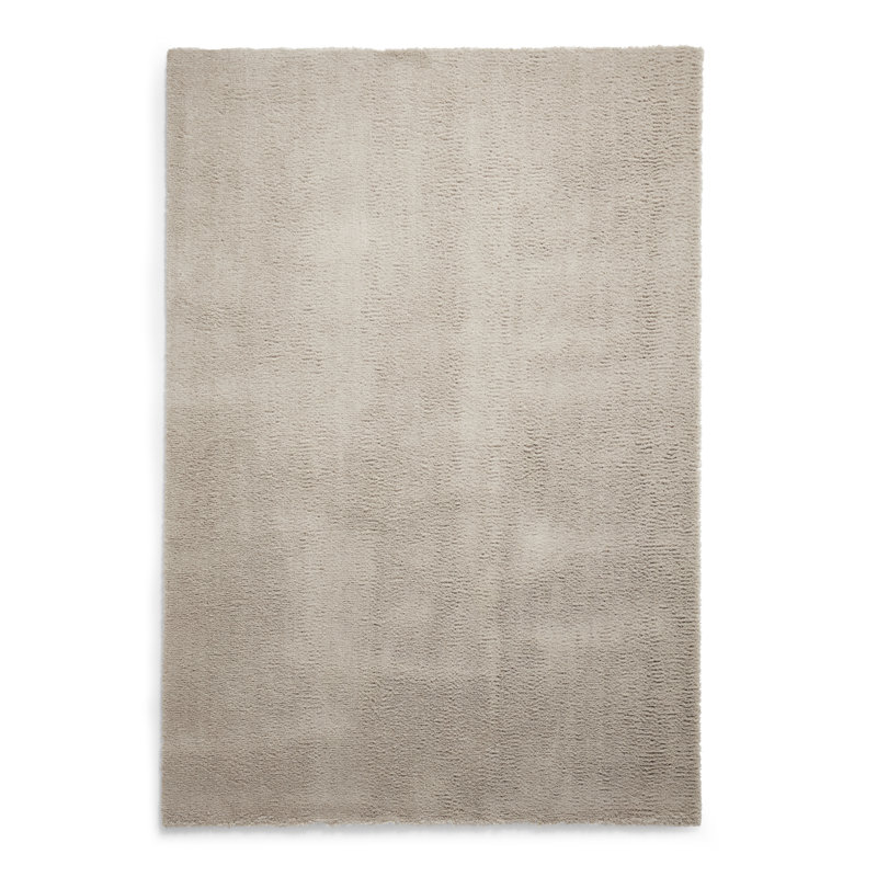 Ashgan area rug Machine Woven Rectangle Silver, Rectangle 120 x 170cm