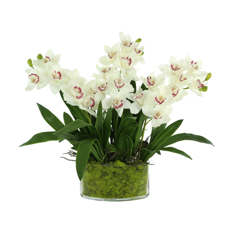 Faux Orchids in Glass Vase with Moss