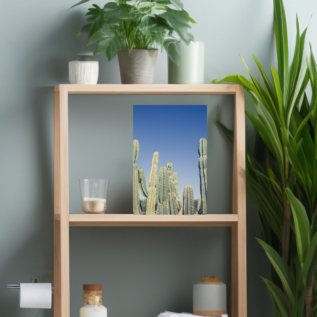 Desert Cacti Blue Sky Abstract Cactus Succulent Landscape Nature Wall Art Print