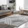 Risette Geometric Shag Tassel Area Rug