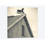 «Workhorse Weather Vane» par Walter Bibikow - reproduction d'art sur toile tendue sur châssis-29479584-73577079-73577074