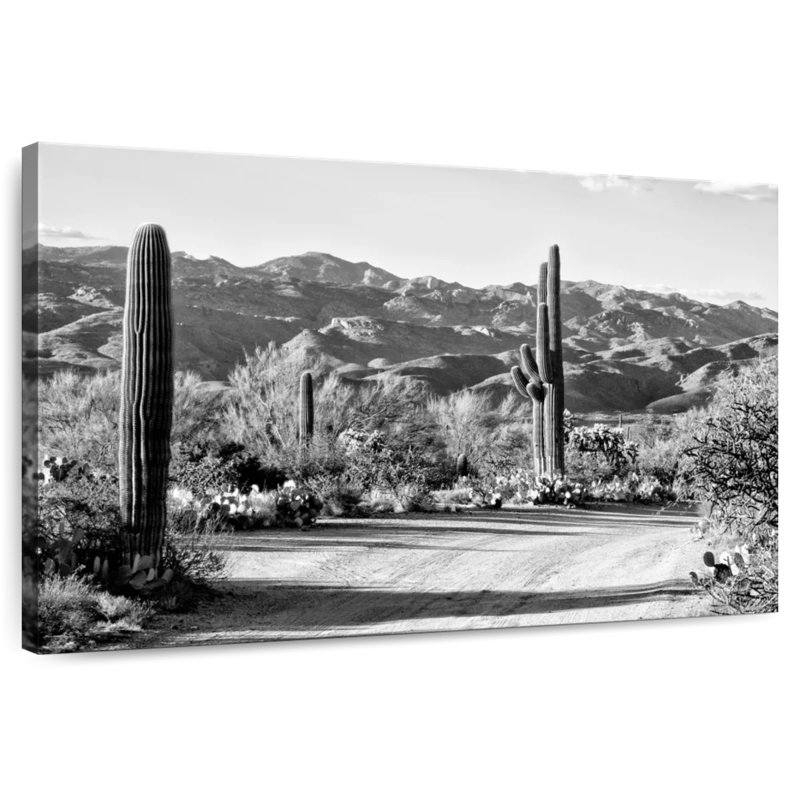 Arizona noir - Cactus en route, H 8 po x l 12 po