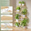 Support pour plantes d'intérieur avec éclairage horticole - Étagère d'angle à 5 niveaux, tablette en métal de 112 cm de haut, présentoir lumineux en forme de S, blanc-1097485434