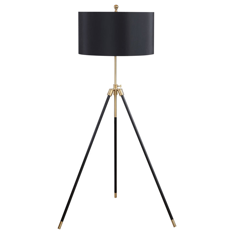 Caoife 63'' Black Tripod Floor Lamp