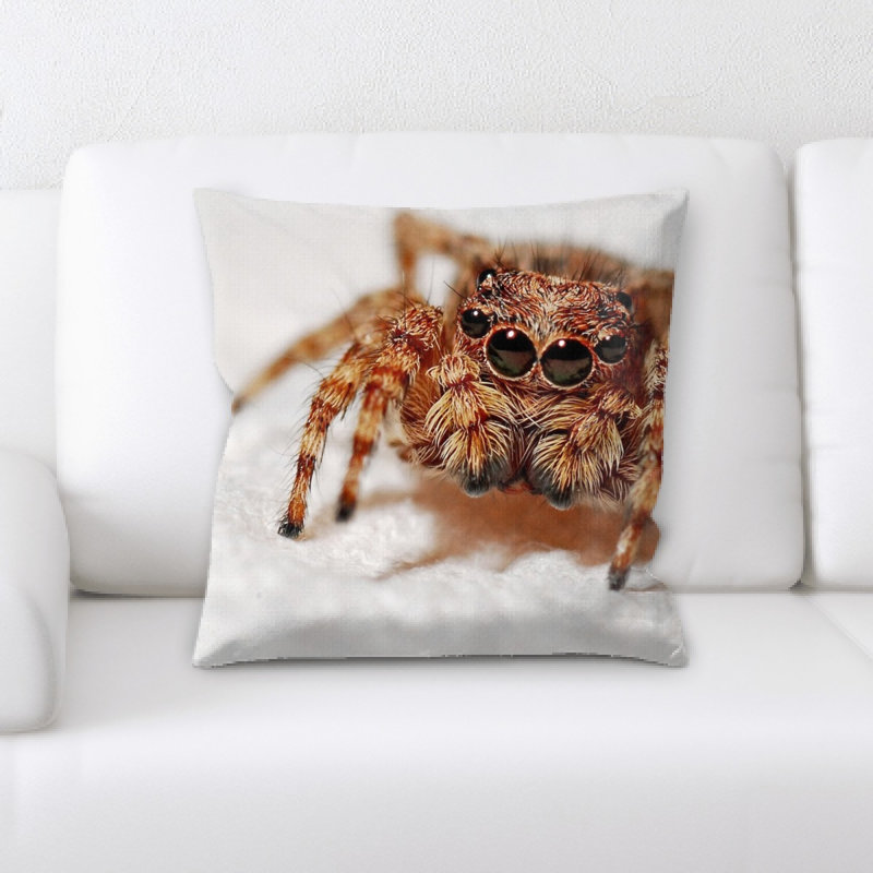 Coussin de spider