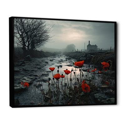 Irlande, brume irlandaise