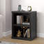 65cm H x 50cm W Bookcase-2117019548