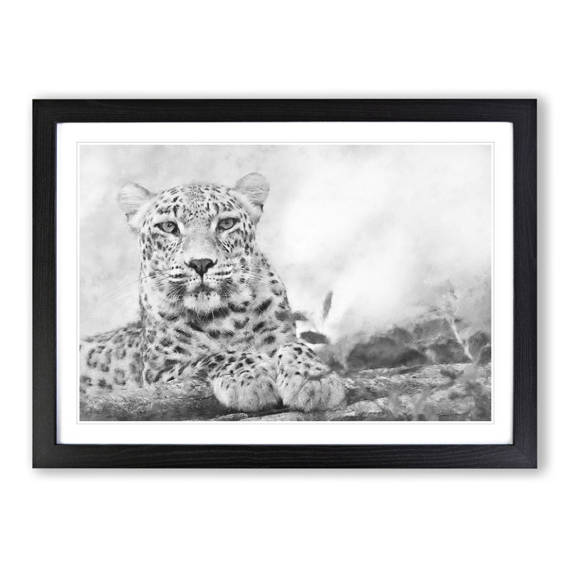 Leopard Resting - Picture Frame Photograph Print, Black Framed, 62cm H x 87cm W x 2cm D