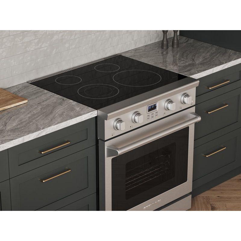 30 in. Stellari 4 Element 5.0 cu. ft. Freestanding Electric Range in Stainless Steel,With Dual Expandable Element,Convection Oven