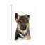 Chiot berger allemand par Watercolor Luv - reproduction d'art-52940507-52940509-52940514