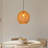 1-Light Pendant Light Globe