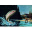 Rainbow Trout - Wrapped Canvas Print-17801672
