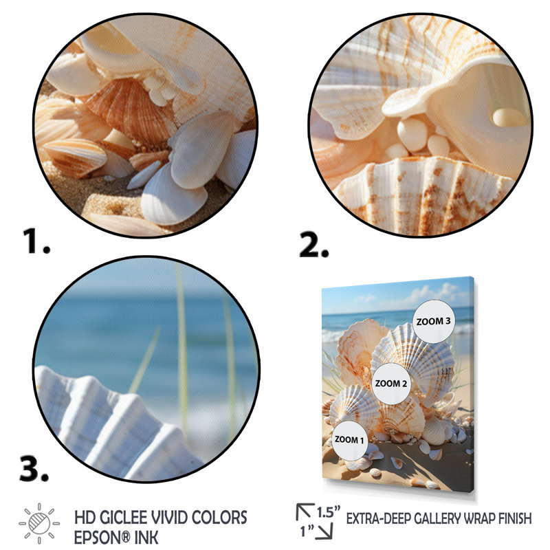 Beach Photo Seashell Beauty II - Coastal Animal, reproduction encadrée, Cadre doré simple, H 44 po x l 34 po x P 1,5 po