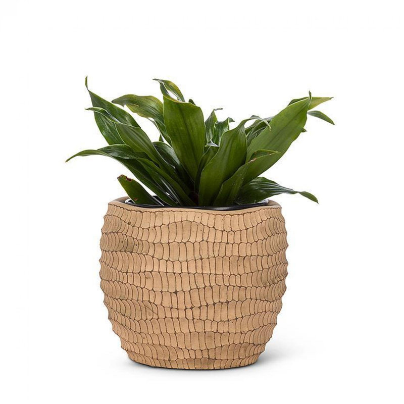 Pot de fleurs rond en terre cuite, H 4 po x l 4,5 po x P 4,5 po