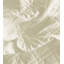 Tissu Coperta-40169719
