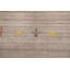 Tapis oriental tribal Gabbeh 6 x 8
