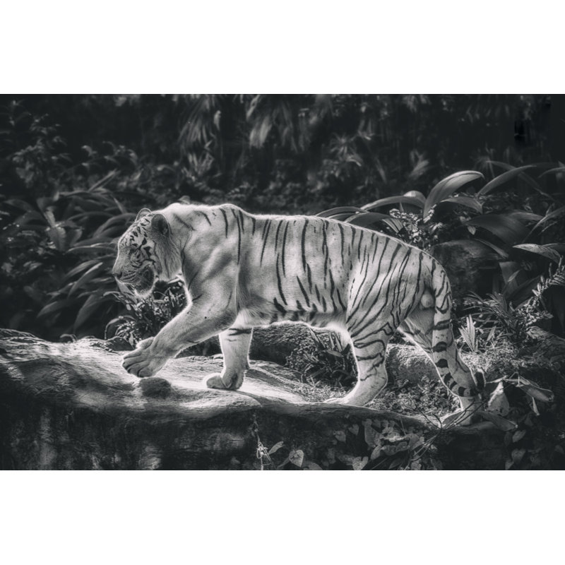 Tigre par Tunart, H 32 po x l 48 po