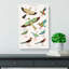 Bird Illustrations by J.F. Champollion - Wrapped Canvas-55316119