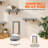 Wall Mounted Cat Shelves and Perches with Hammock and Jumping Boards
