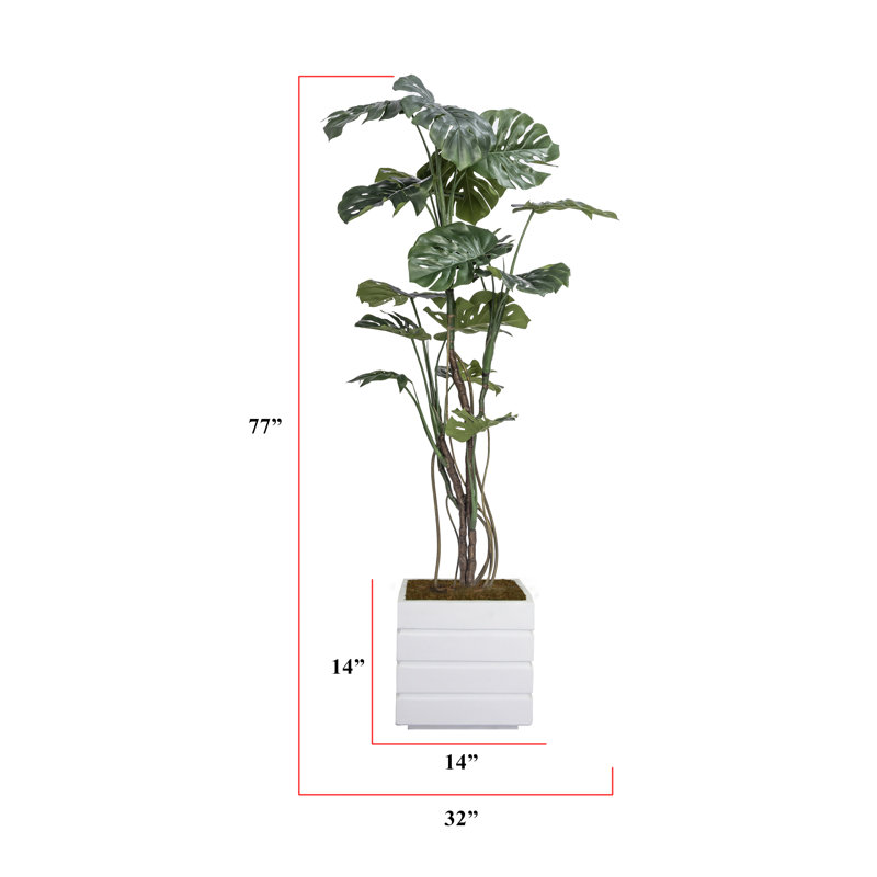 Plante artificielle 77 po Monstera, Blanc