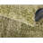 Zuniga Indoor Rug-1532639837