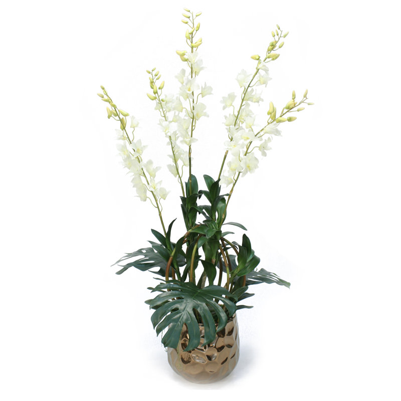 Plante à feuillage dendrobium dans un pot de fleurs