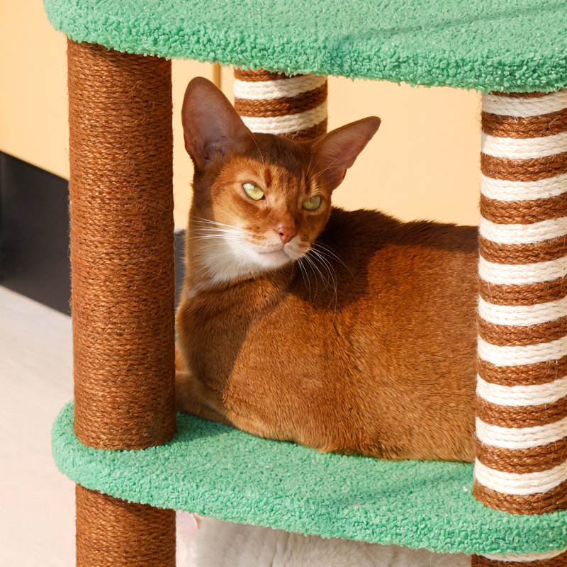 Arbre à chat à deux niveaux à motif de vache - Tour en peluche de 68 cm avec panneaux latéraux amovibles, fenêtres d'observation et poteaux à griffer en sisal