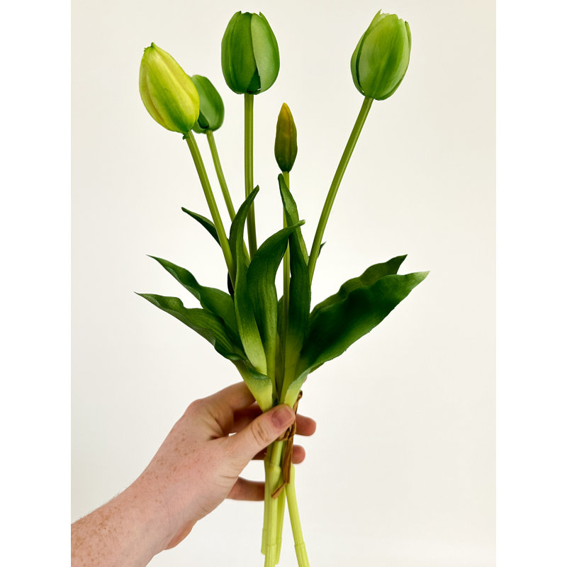 5 vraies tulipes artificielles, Vert