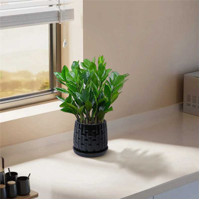 Set Of 2 Gradient Ceramic Flowerpot, Modern Planter For Patio, Garden, Windowsill