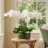 Kerwin Organic Modern Orchid Arrangement