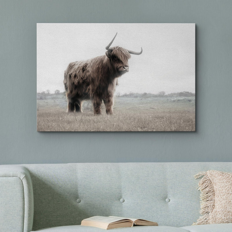 «Animals Washed Out Landscape», vache Shetland sur toile, Toile tendue, H 16 po x l 24 po x P 1,5 po