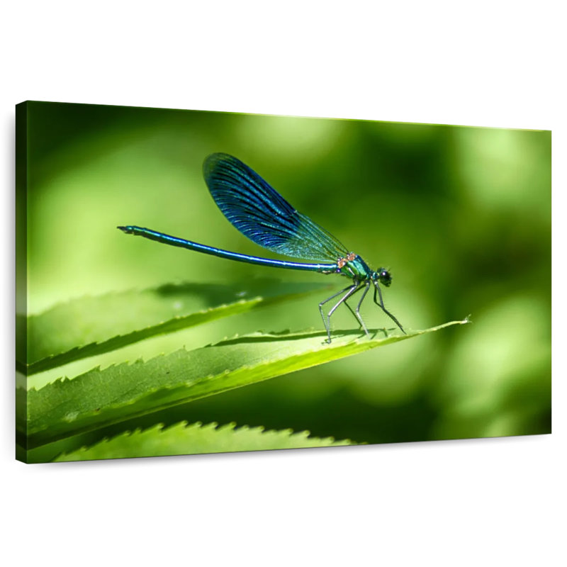 Brampt Dragonfly On A Leaf, 30" H x 45" W