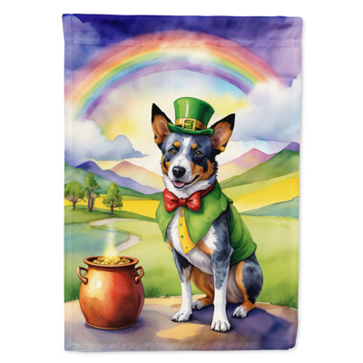 Drapeau double face en polyester H 40 po x l 28 po St Patrick's Day House