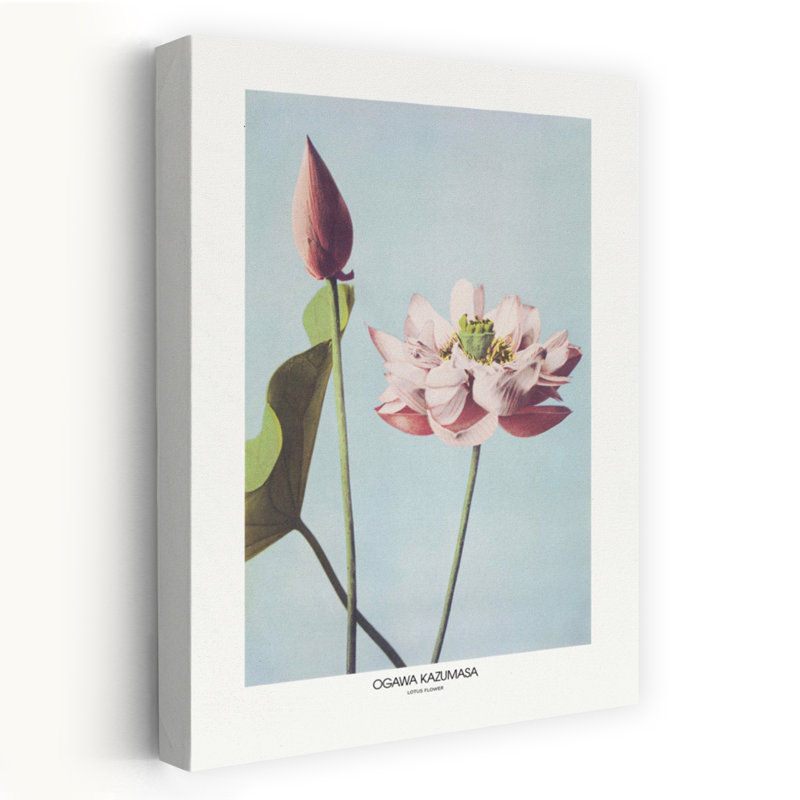 Fleur de lotus par Ogawa Kazumasa, art mural rétro contemporain, H 36 po x l 24 po