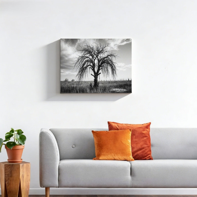 Solitaire, arbre mort prairie, cadre mural en bois encastré, L 16 x l 20